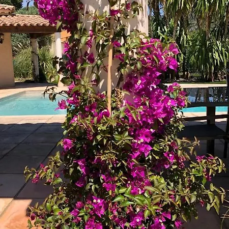 4* Avec Piscine Dans Le Bas Du Village De Les Mimosas * Bormes-les-Mimosas